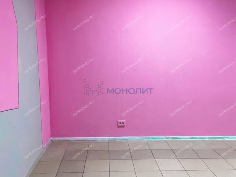 ul-germana-lopatina-d-8 фото