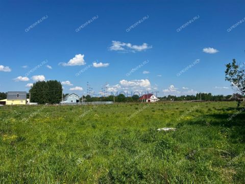 derevnya-gumnishhi-balahninskiy-municipalnyy-okrug фото