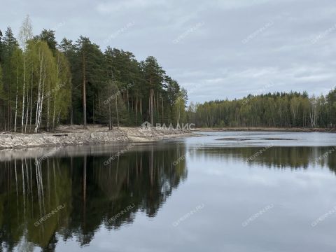 dom-selo-chistoe-gorodskoy-okrug-chkalovsk фото