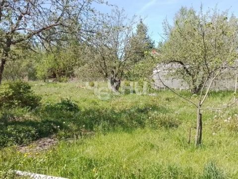 dacha-derevnya-yulovka-dalnekonstantinovskiy-rayon фото