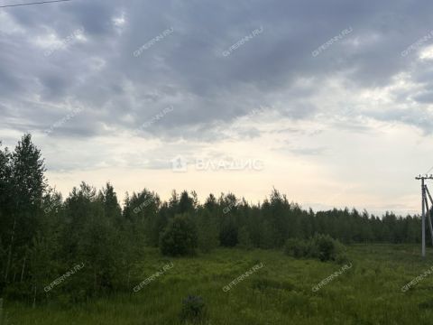 sherstnevo-gorodskoy-okrug-bor фото