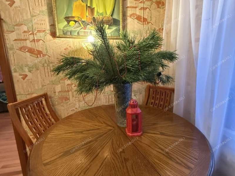 трёхкомнатная квартира на улице Челюскинцев дом 19