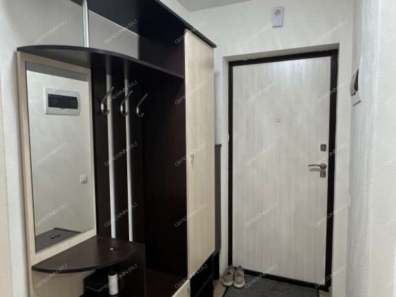 однокомнатная квартира на Машинной улице дом 29