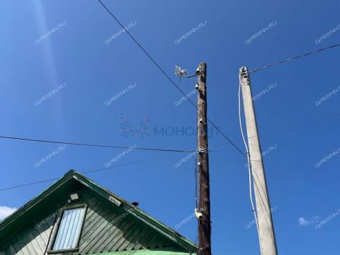 dacha фото