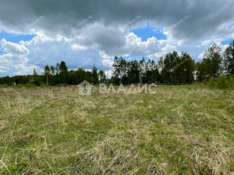 selo-ostankino-gorodskoy-okrug-bor фото