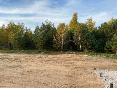 derevnya-malyy-suhodol-gorodeckiy-rayon фото