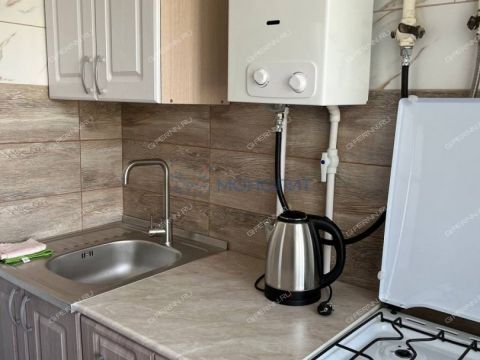 2-komnatnaya-ul-rodnikovaya-d-46 фото