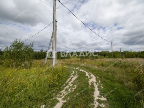 selo-spirino-bogorodskiy-municipalnyy-okrug фото