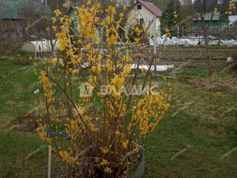 dom-snt-pishhevik-1-dalnekonstantinovskiy-rayon фото