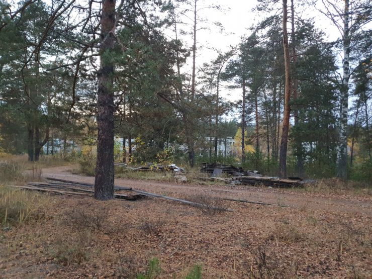 Фото: Ксения Ражева