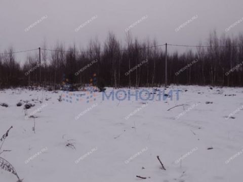 derevnya-gumnishhi-balahninskiy-municipalnyy-okrug фото