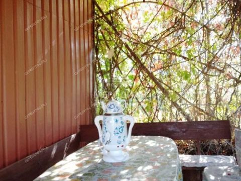 dacha-rabochiy-poselok-dalnee-konstantinovo-dalnekonstantinovskiy-rayon фото