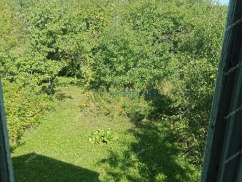 dacha-poselok-novaya-sloboda-bogorodskiy-municipalnyy-okrug фото