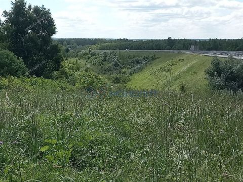 derevnya-krutec-doskinskiy-selsovet-bogorodskiy-municipalnyy-okrug фото