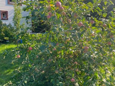 kottedzh-selo-ermolino-lyskovskiy-municipalnyy-okrug фото