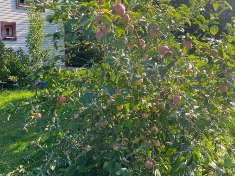 коттедж на улице Головина село Ермолино