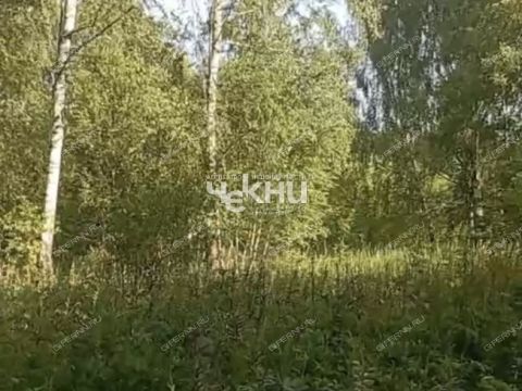 derevnya-dosadino-vadskiy-municipalnyy-okrug фото