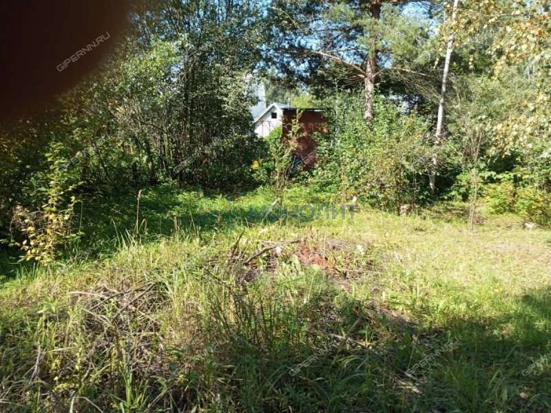 земельный участок под сельхоз назначение в городском округе Бор Нижегородской области