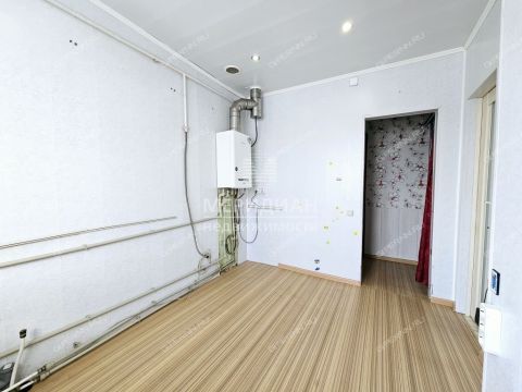 1-komnatnaya-selo-ostankino-gorodskoy-okrug-bor фото