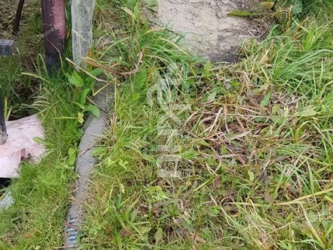 gorod-semenov-semenovskiy-gorodskoy-okrug фото