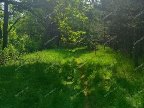 poselok-sovhoznyy-balahninskiy-municipalnyy-okrug фото