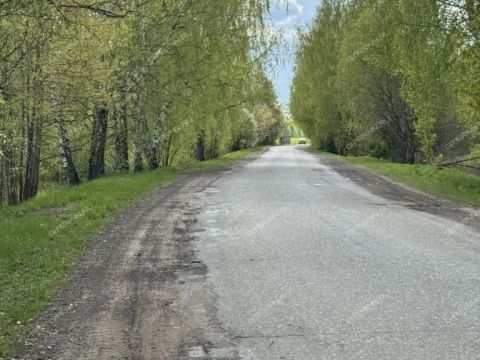 derevnya-kalikino-gorodskoy-okrug-bor фото