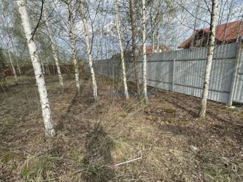 derevnya-inyutino-bogorodskiy-municipalnyy-okrug фото