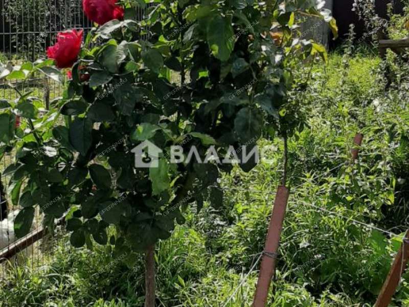 дом на 10 деревня Малая Поляна