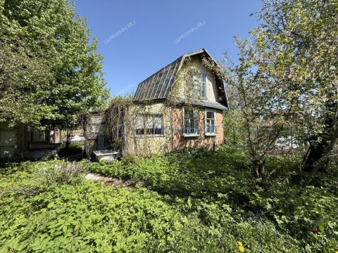 dacha фото