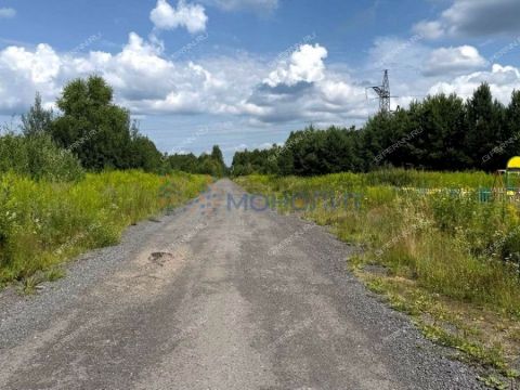 kottedzh-derevnya-knyazhevo-krasnoslobodskiy-selsovet-gorodskoy-okrug-bor фото