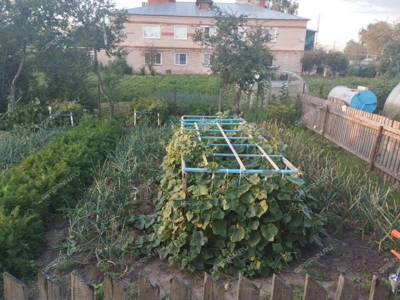 трёхкомнатная квартира на Микрорайон дом 5 село Ивановское