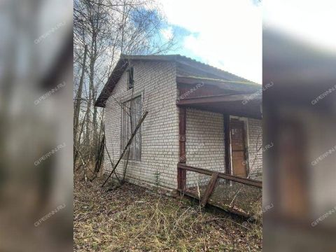 derevnya-korenevo-sokolskiy-gorodskoy-okrug фото