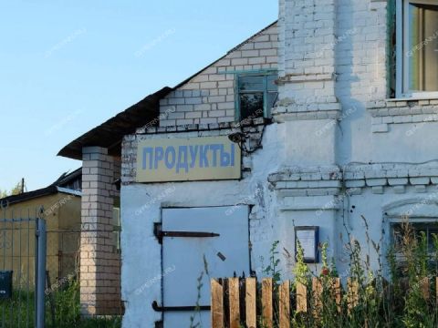 dom-selo-vysokiy-oselok-spasskiy-rayon фото