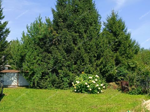 dacha-derevnya-kileley-bogorodskiy-municipalnyy-okrug фото