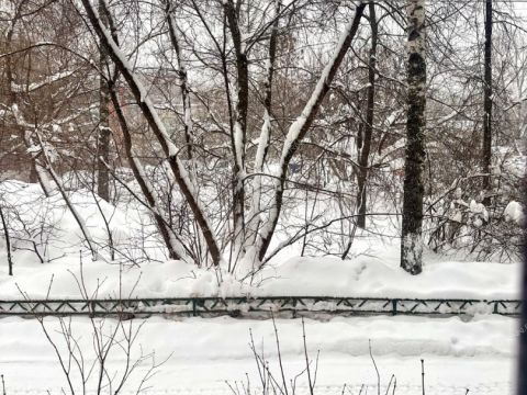 1-komnatnaya-ul-snezhnaya-d-29 фото