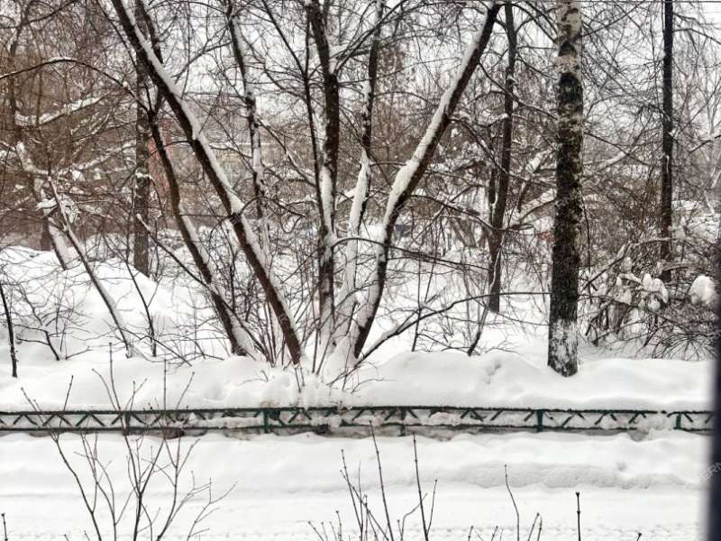 однокомнатная квартира на Снежной улице дом 29