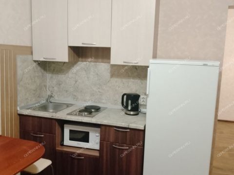 kvartira-studiya-ul-monchegorskaya-d-12-k3 фото