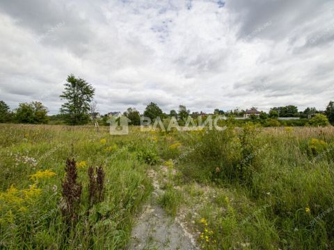 derevnya-prudy-bogorodskiy-municipalnyy-okrug фото