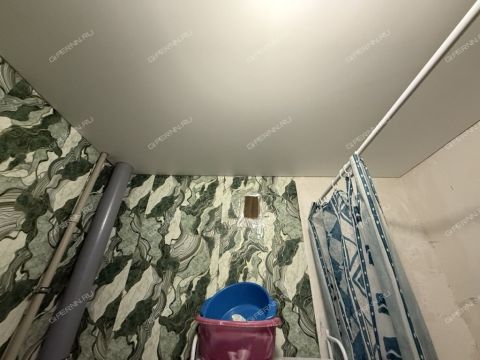 1-komnatnaya-gorod-zavolzhe-gorodeckiy-rayon фото