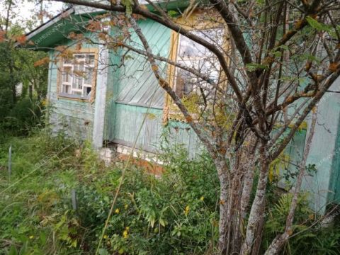 dacha-derevnya-zimenki-bogorodskiy-municipalnyy-okrug фото