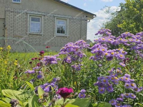 dom-rabochiy-poselok-lukino-balahninskiy-municipalnyy-okrug фото