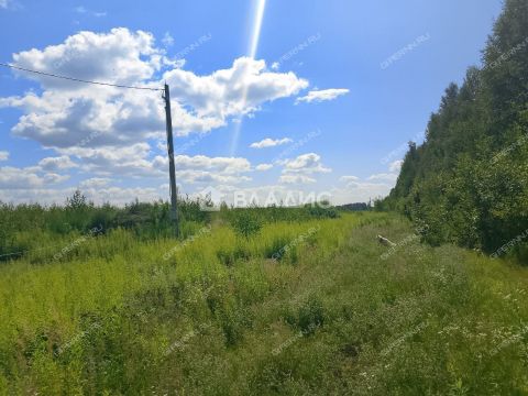 derevnya-inyutino-bogorodskiy-municipalnyy-okrug фото