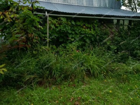 dacha-derevnya-zimenki-bogorodskiy-municipalnyy-okrug фото