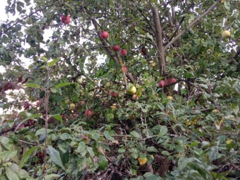 dom-selo-doskino-bogorodskiy-municipalnyy-okrug фото