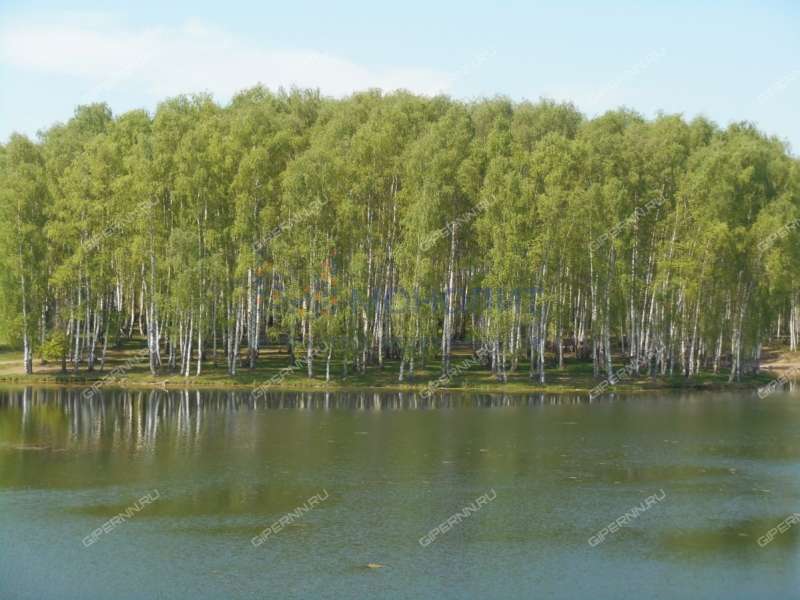 Купить Участок Кстовский Район Нижегородской