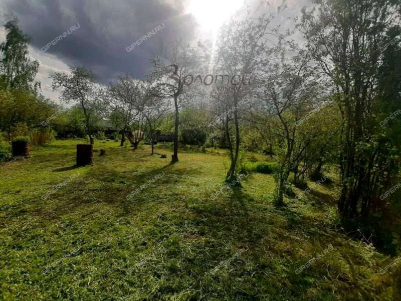 земельный участок 8 соток СНТ-16 ОАО ГАЗ деревня Новая Пунерь