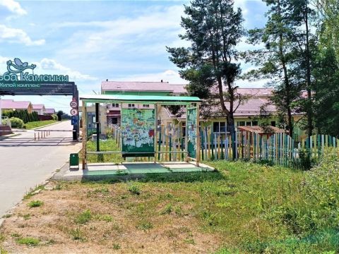 selo-kamenki-bogorodskiy-municipalnyy-okrug фото