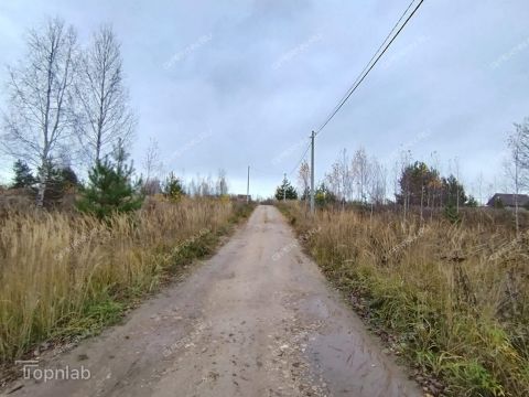 derevnya-krivaya-sheloksha-kstovskiy-rayon фото