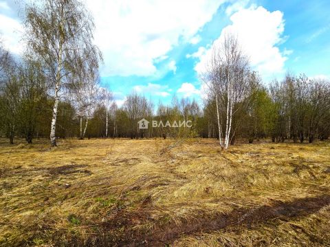 priokskiy-rayon фото