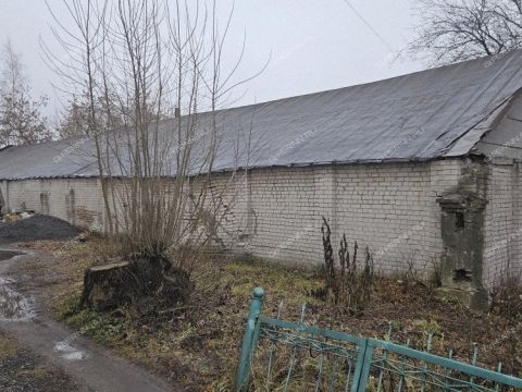 gorod-dzerzhinsk-gorodskoy-okrug-dzerzhinsk фото